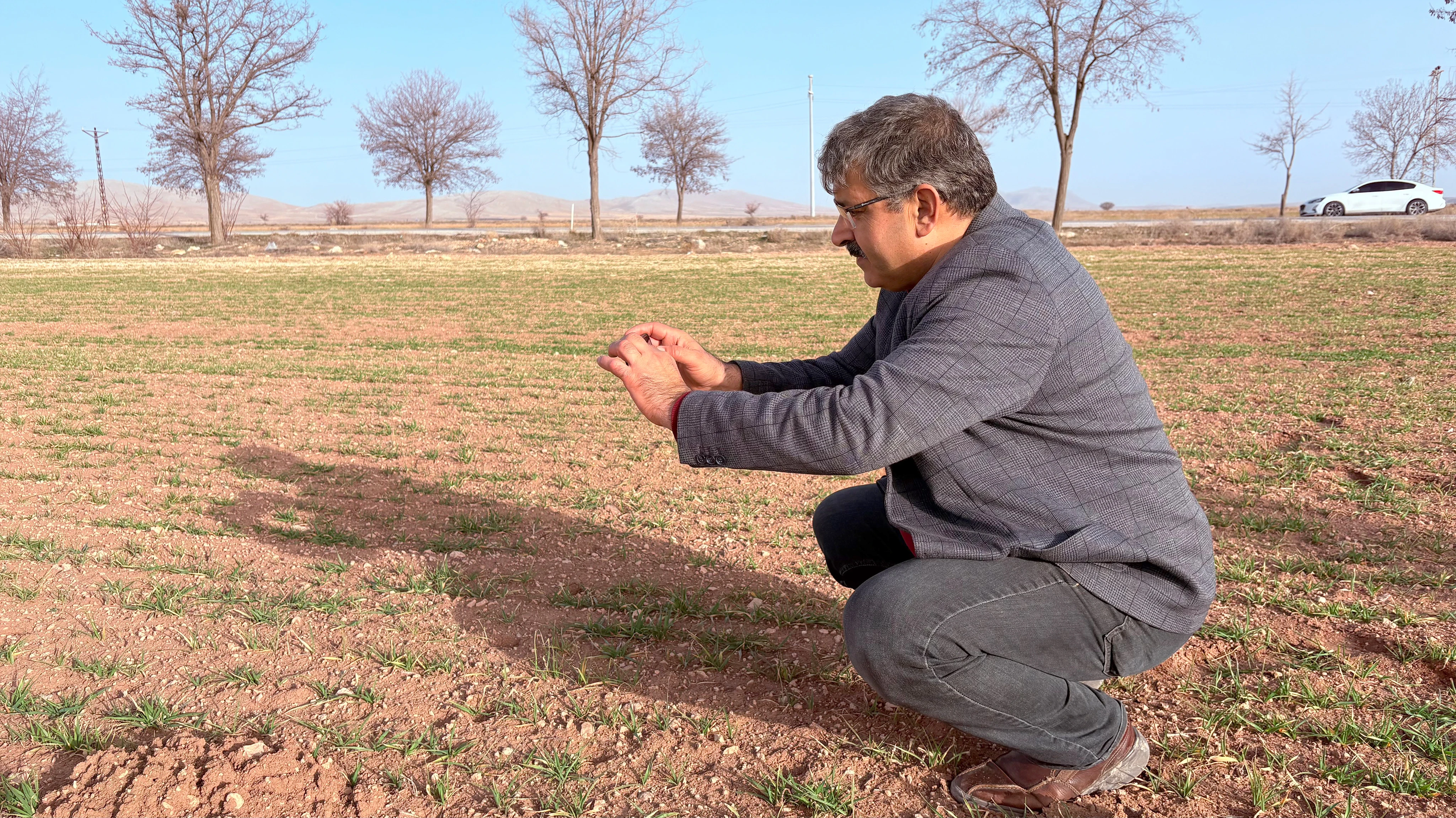 Azalan su kaynaklarına karşı sorgum hamlesi